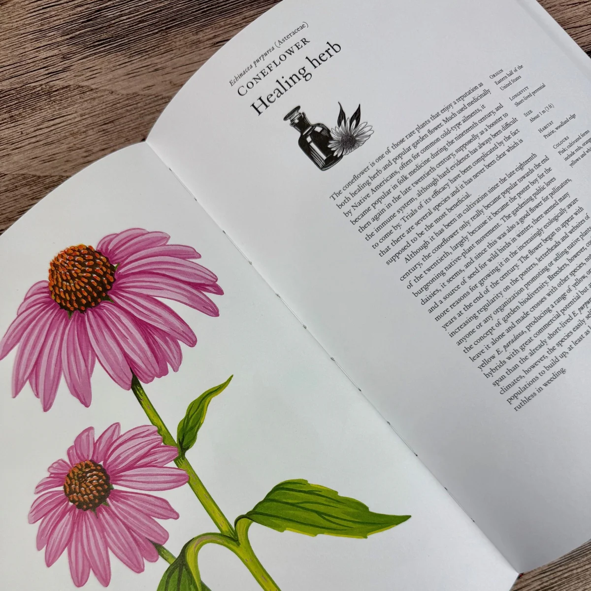 The Story of Flowers: And How They Changed the Way We Live - Image 2