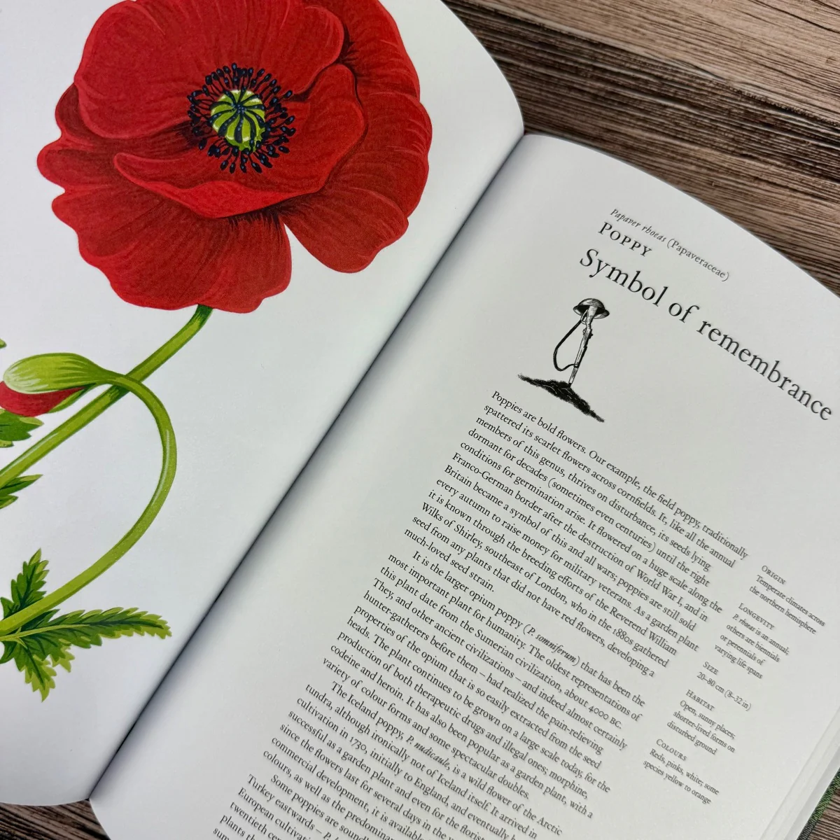 The Story of Flowers: And How They Changed the Way We Live - Image 4