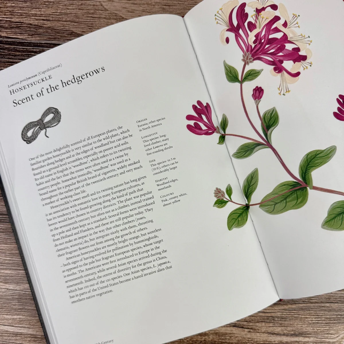 The Story of Flowers: And How They Changed the Way We Live - Image 5