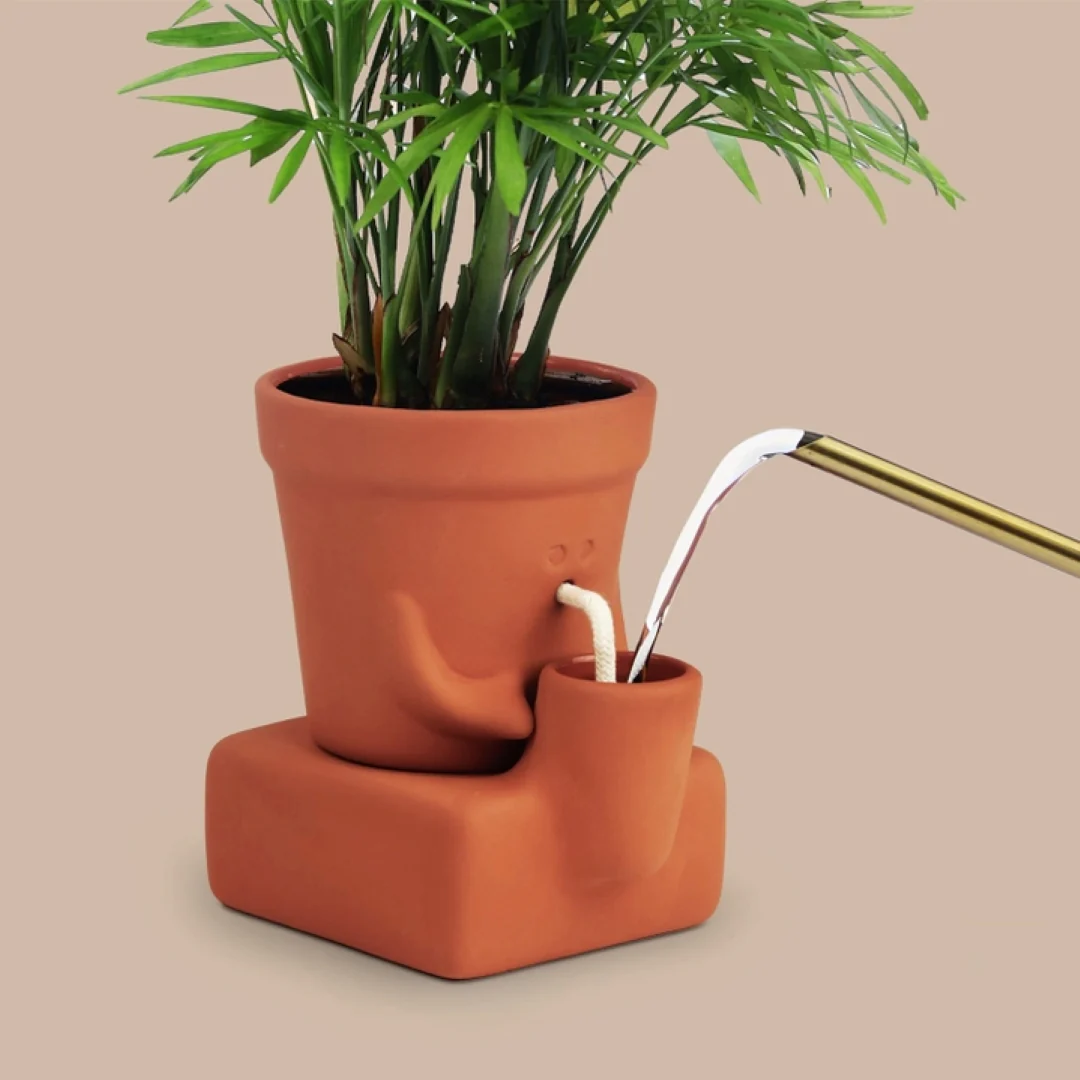 The Thirsty Planter - Image 2