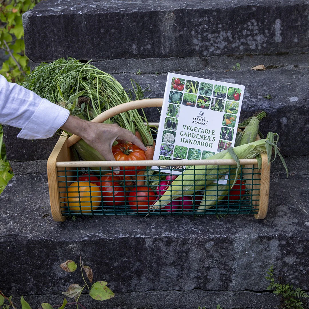 The Master Gardener - Image 4