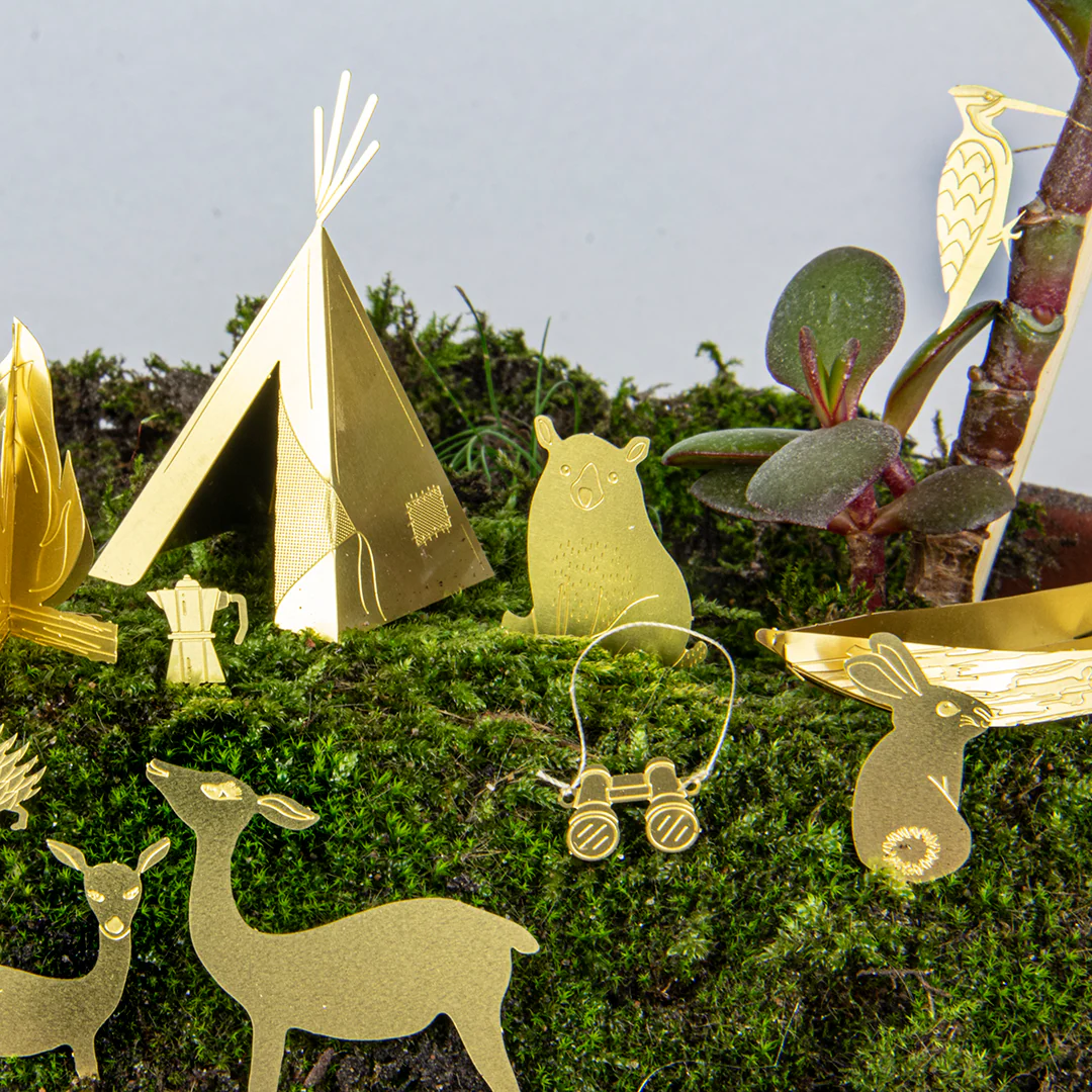 Tiny Camping for Your Plants - Image 5