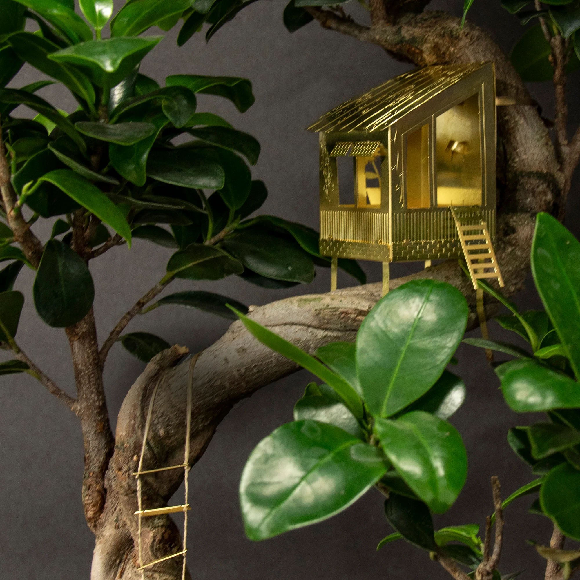 Tiny Treehouse for Your Plants - Image 10
