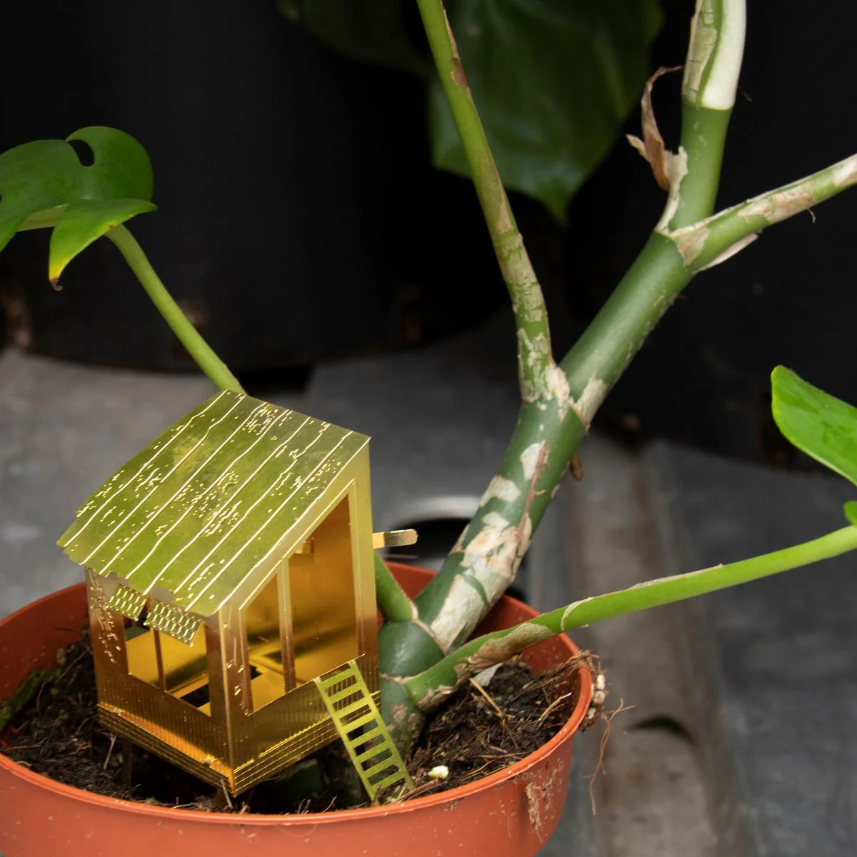 Tiny Treehouse for Your Plants - Image 2