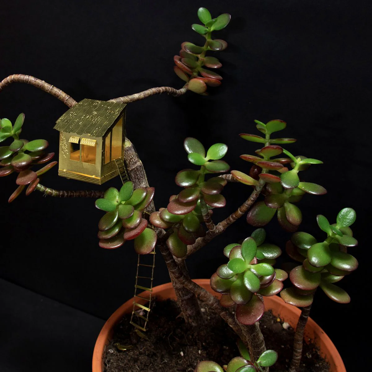 Tiny Treehouse for Your Plants - Image 4