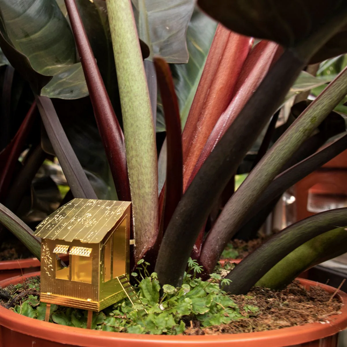 Tiny Treehouse for Your Plants - Image 5