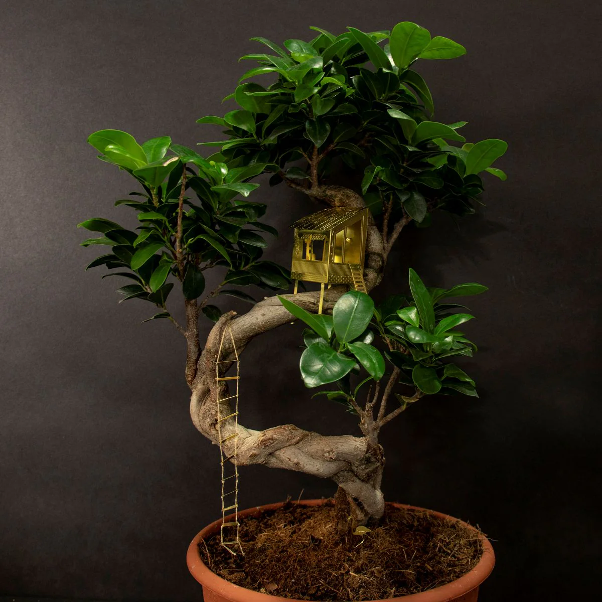 Tiny Treehouse for Your Plants - Image 6