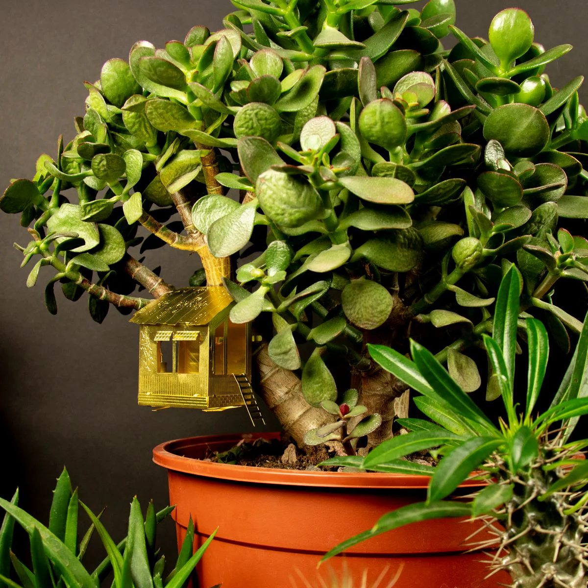 Tiny Treehouse for Your Plants - Image 7