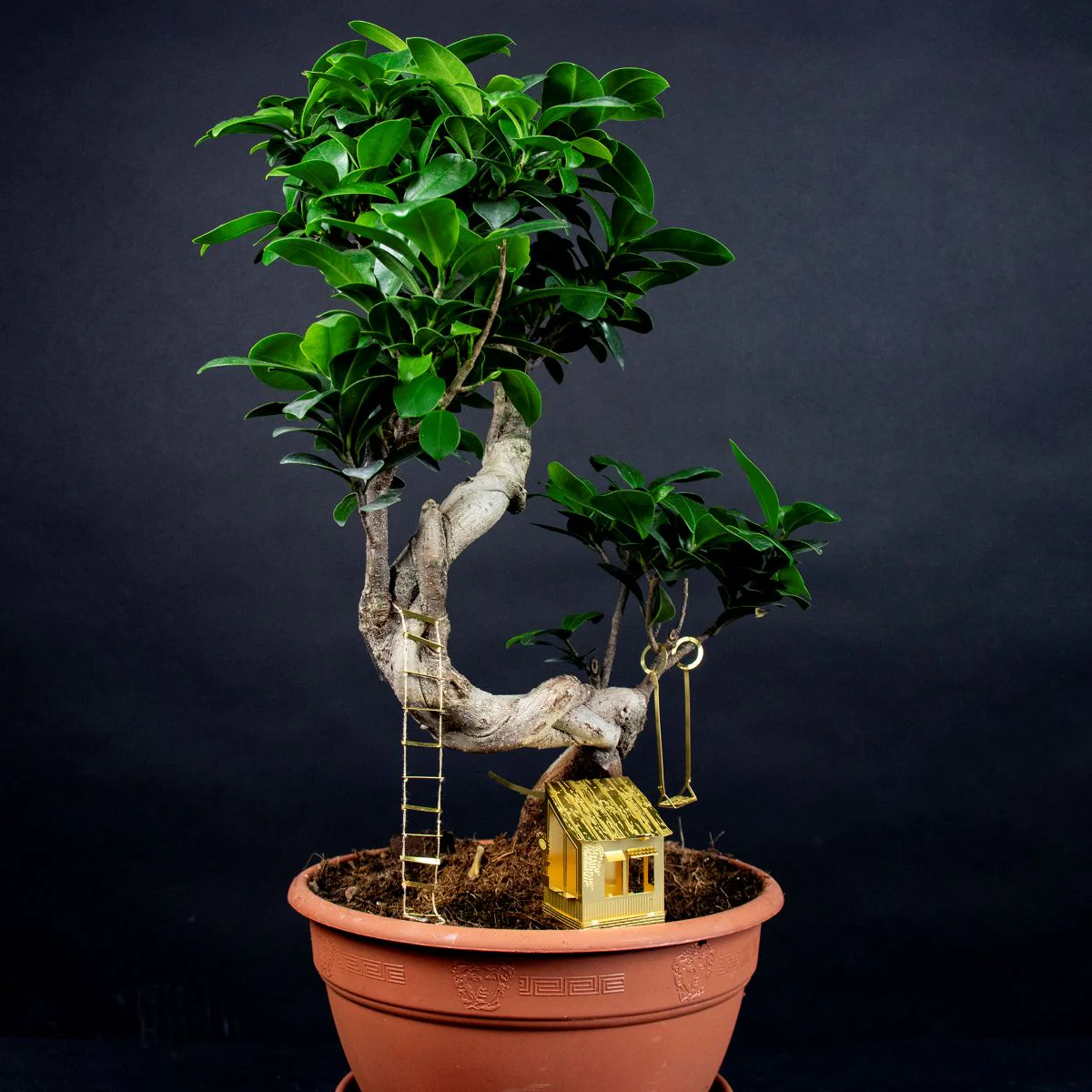 Tiny Treehouse for Your Plants - Image 9