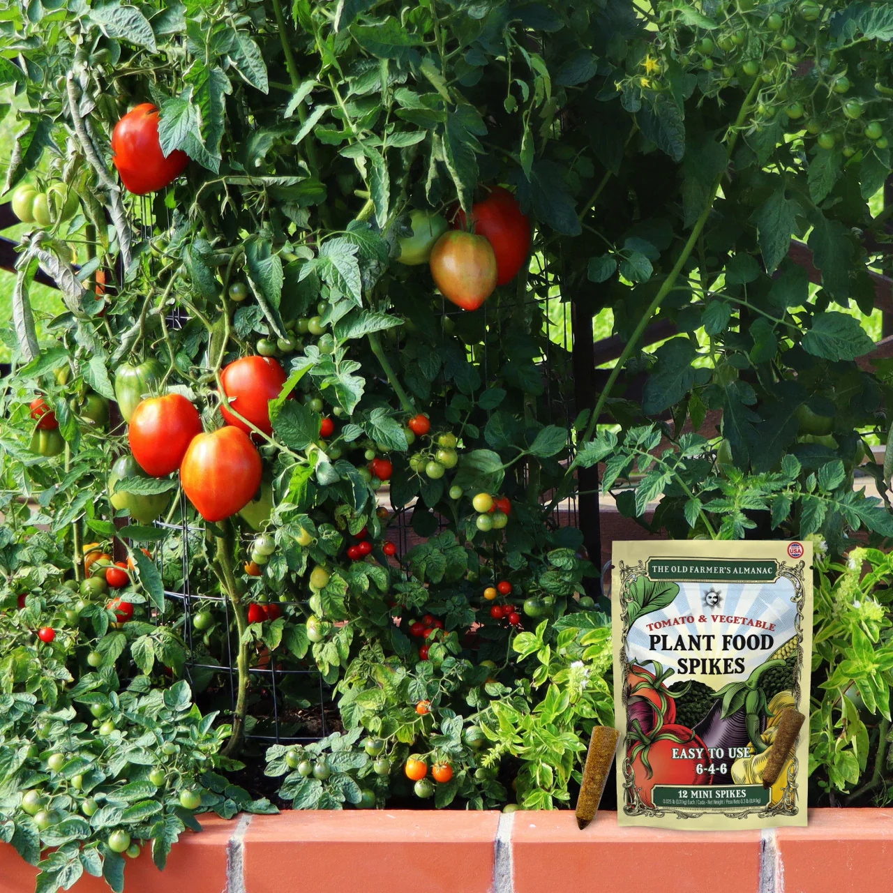 The Old Farmer's Almanac Tomato & Vegetable 6-4-6 Plant Food Spikes (12 Mini Spikes) - Image 3
