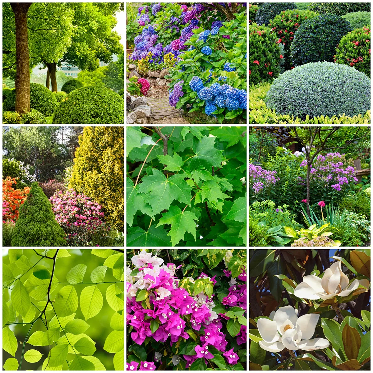 The Old Farmer's Almanac Tree & Shrub 13-3-3 Fertilizer Spikes (Box of 12 Spikes) - Image 5