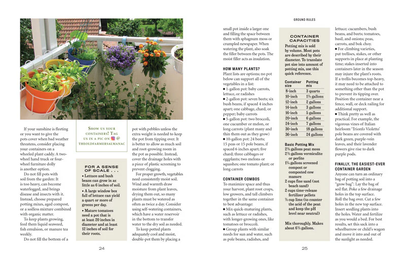 Vegetable Gardener’s Handbook - Image 17