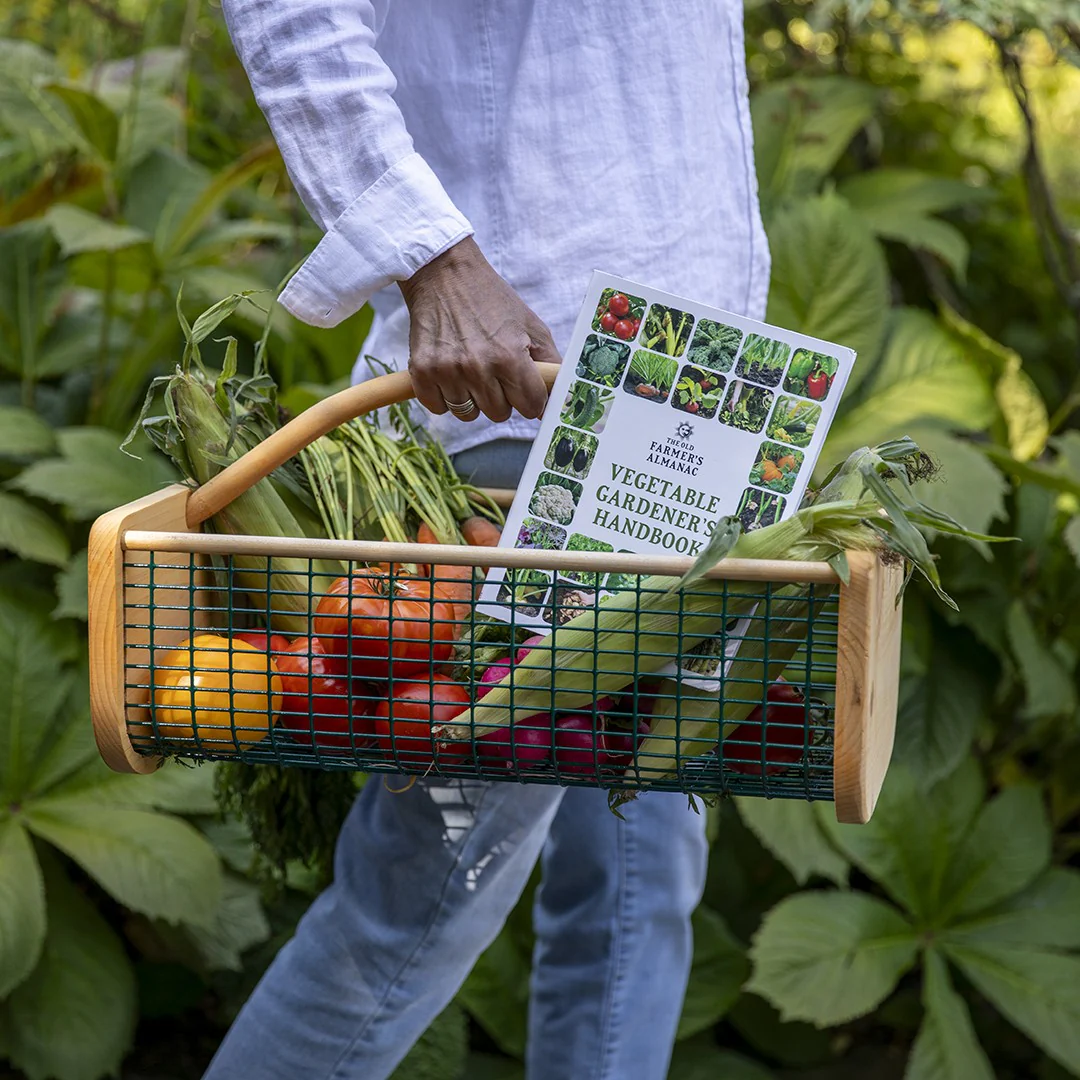 Vegetable Gardener’s Handbook - Image 3