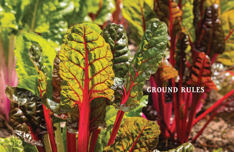 Vegetable Gardener’s Handbook - Image 4