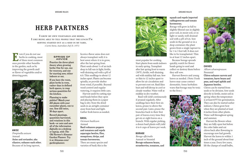 Vegetable Gardener’s Handbook - eBook - Image 11