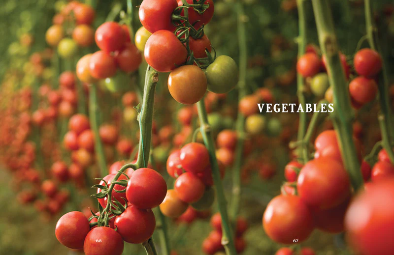 Vegetable Gardener’s Handbook - eBook - Image 5