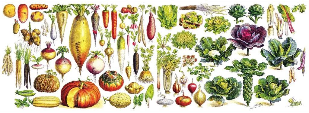 Vegetables Large Mug - Image 5