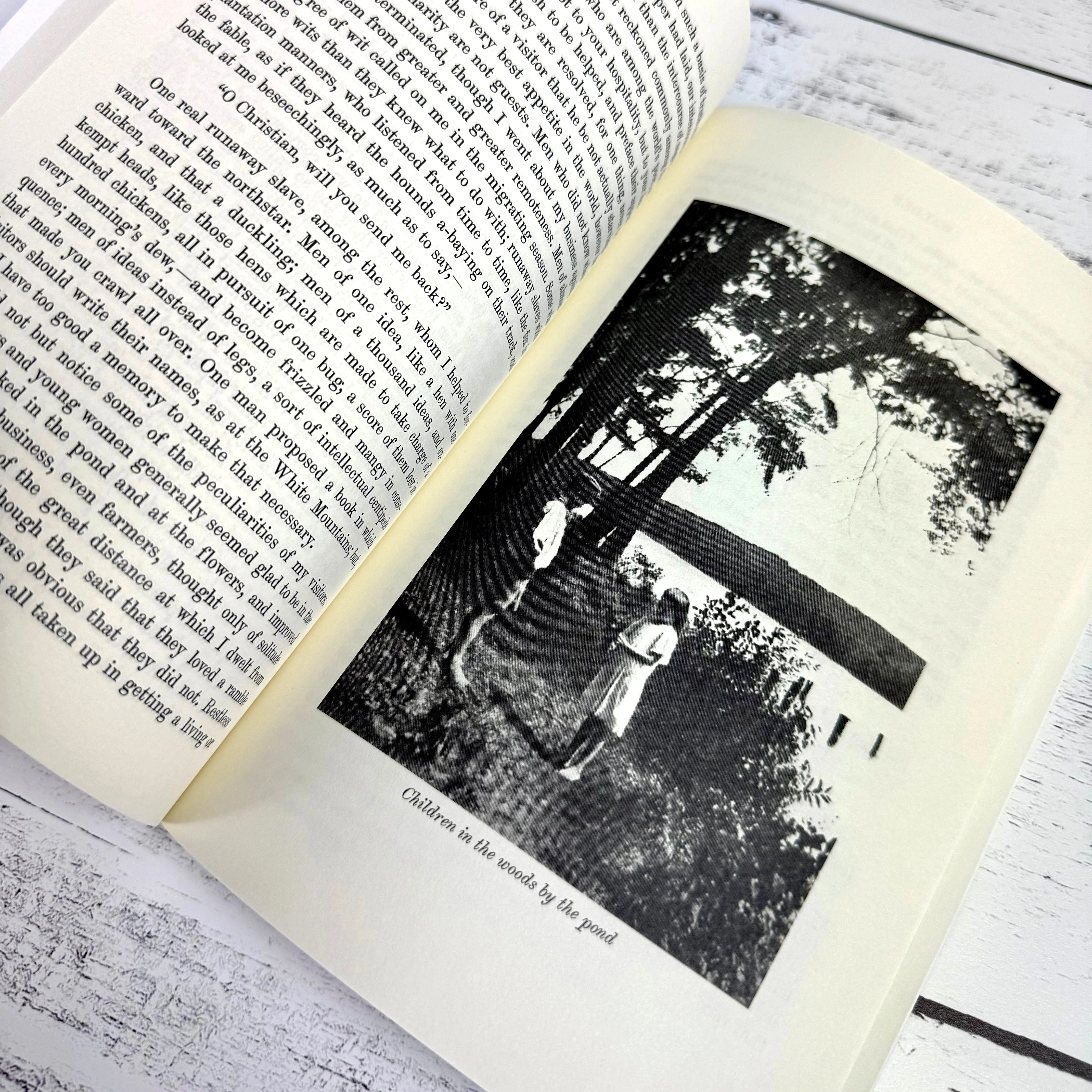 Walden & Civil Disobedience - Image 3