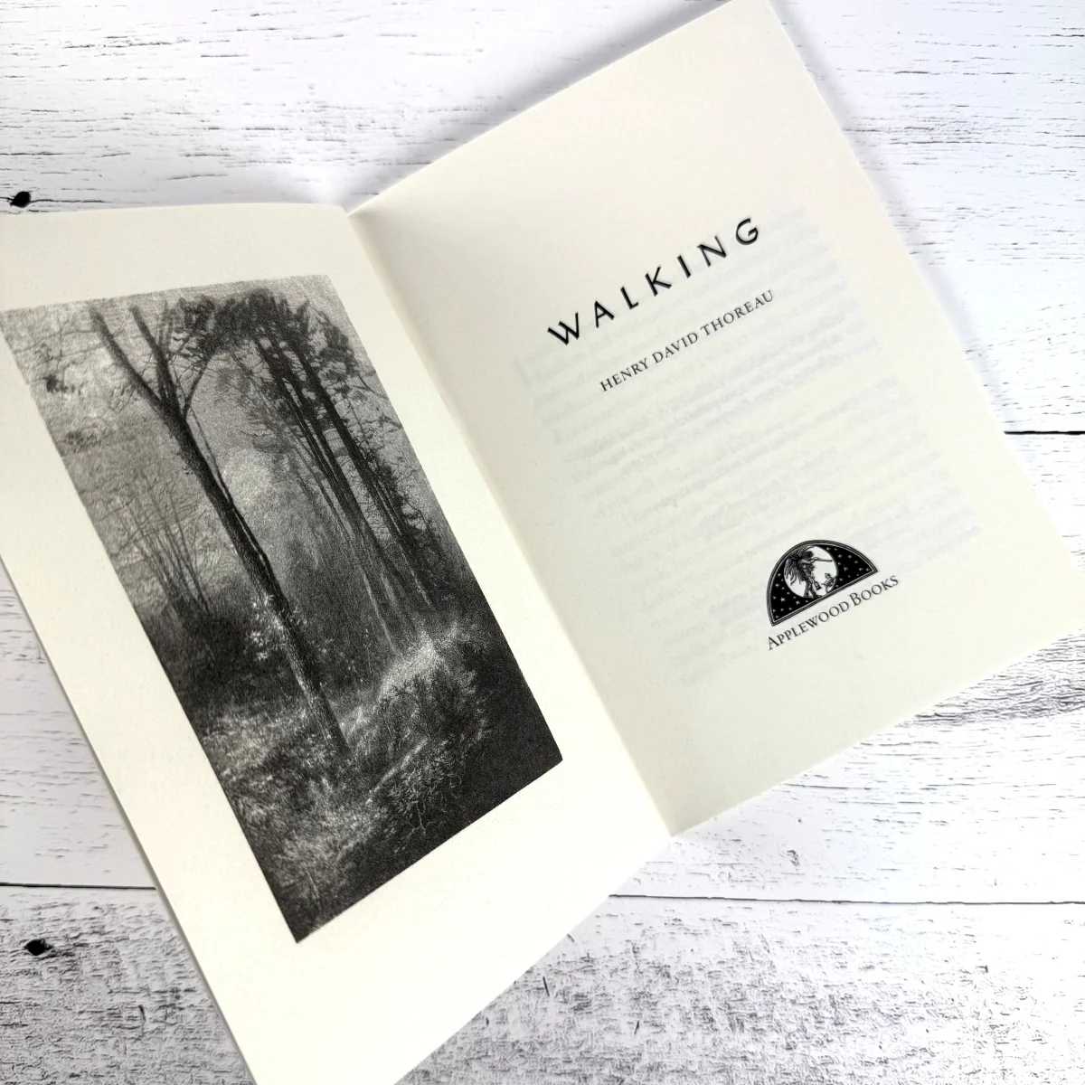 Walking - Image 2