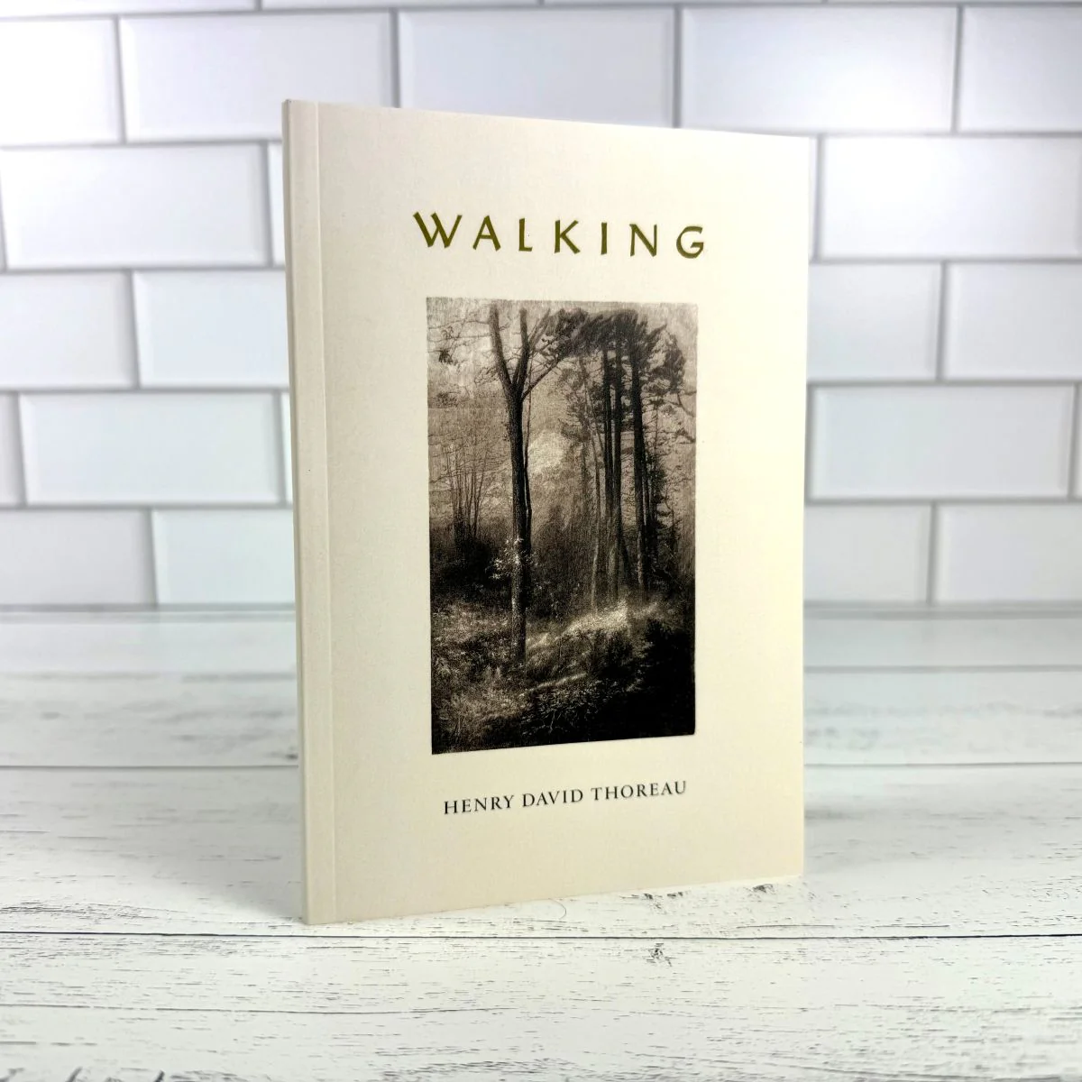 Walking - Image 3