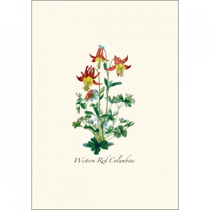 Western Wildflower Notecard Assortment - Image 3