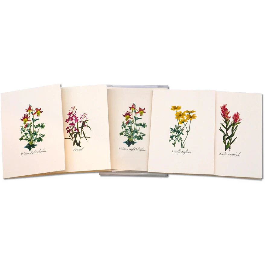 Western Wildflower Notecard Assortment - Image 4
