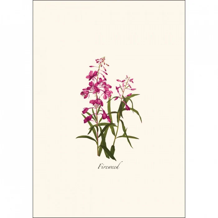 Western Wildflower Notecard Assortment - Image 5