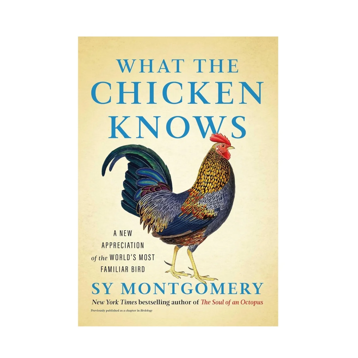 What the Chicken Knows: A New Appreciation of the World's Most Familiar Bird - Image 3