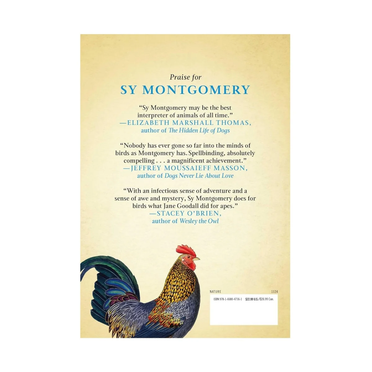 What the Chicken Knows: A New Appreciation of the World's Most Familiar Bird - Image 4