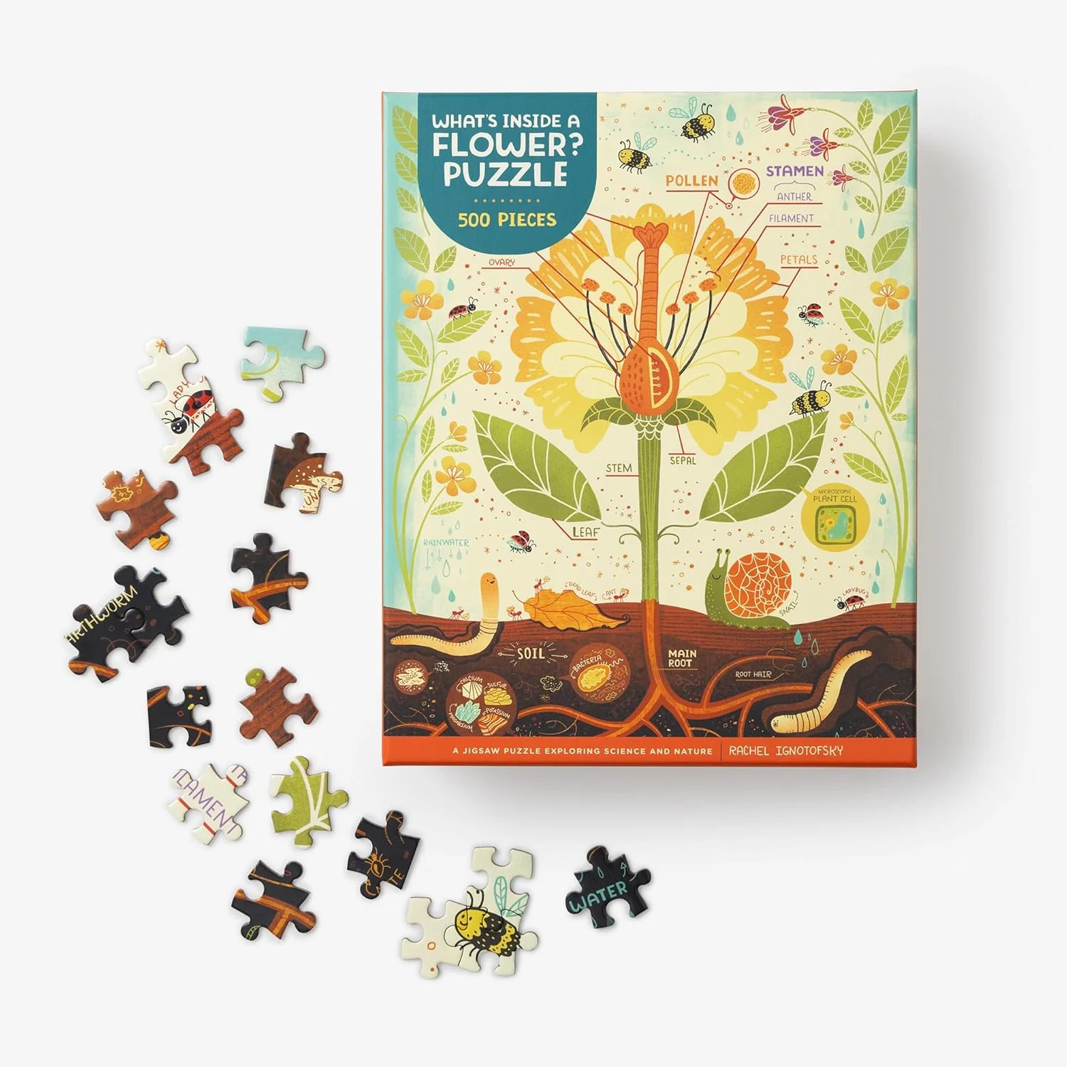 What's Inside a Flower? Puzzle - Image 4
