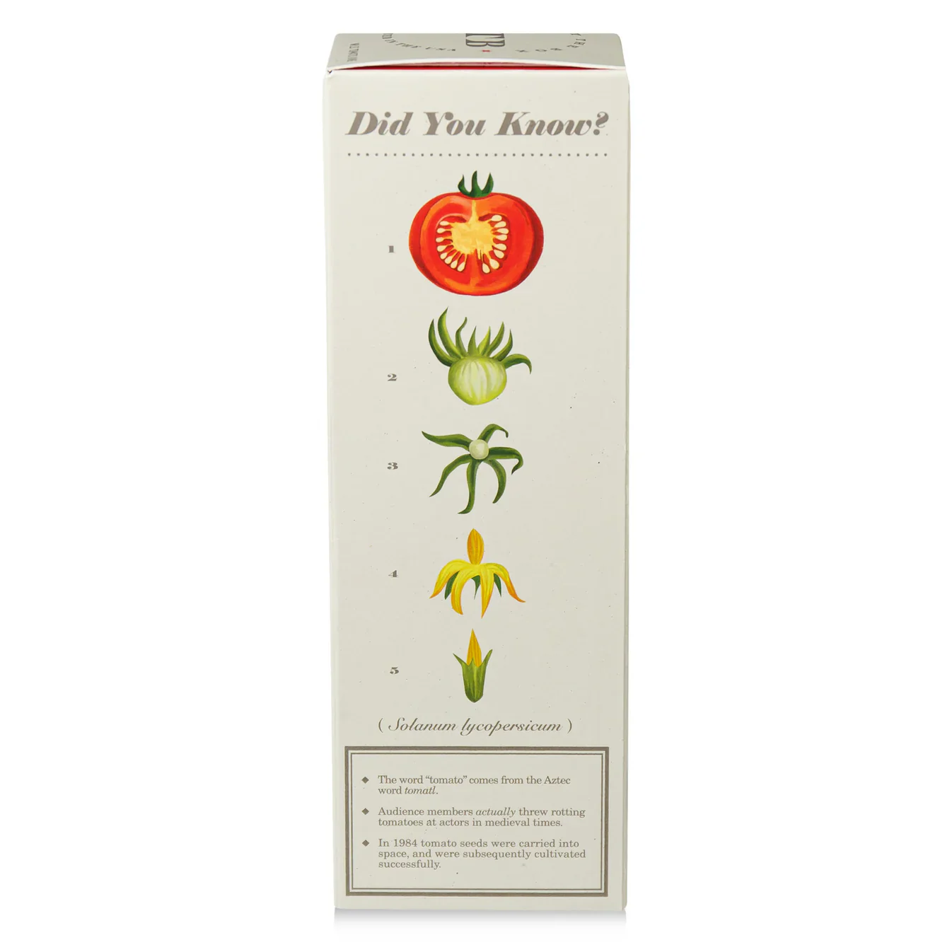 Wild Tomato Vine - Plant the Box Diffuser - 4oz - Image 5