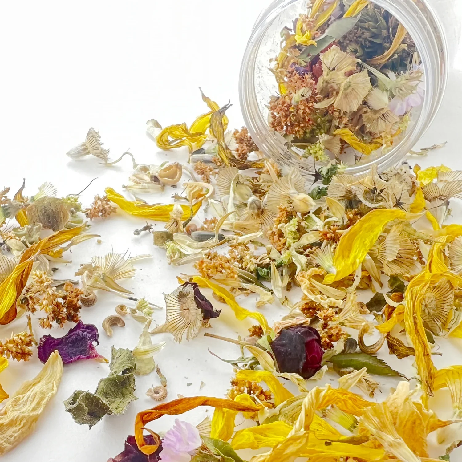 Wildflower Garden Seed Confetti - Image 3