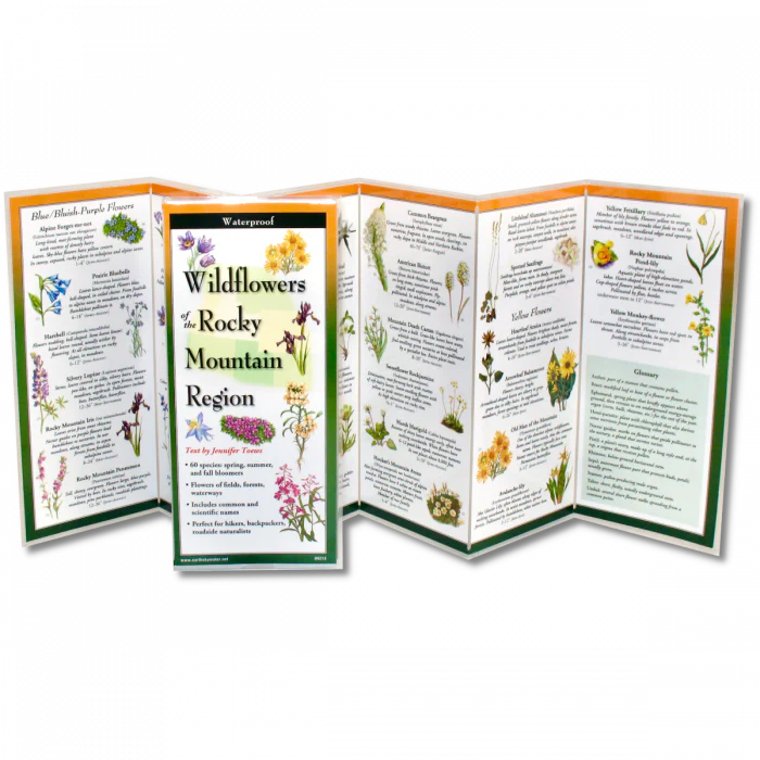 Wildflowers of the Rocky Mountain Region, Folding Guide - Image 2